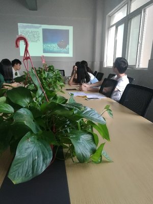 江蘇景寧信息技術(shù) 專業(yè)信息技術(shù)咨詢服務的領(lǐng)航者