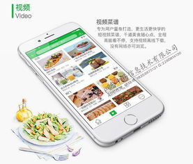 菜譜大全App開發(fā) 大廚唾手可得，移動互聯(lián)技術(shù)賦能美食生活
